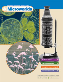 Microworlds STC Book