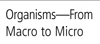 Organisms—From Macro to Micro